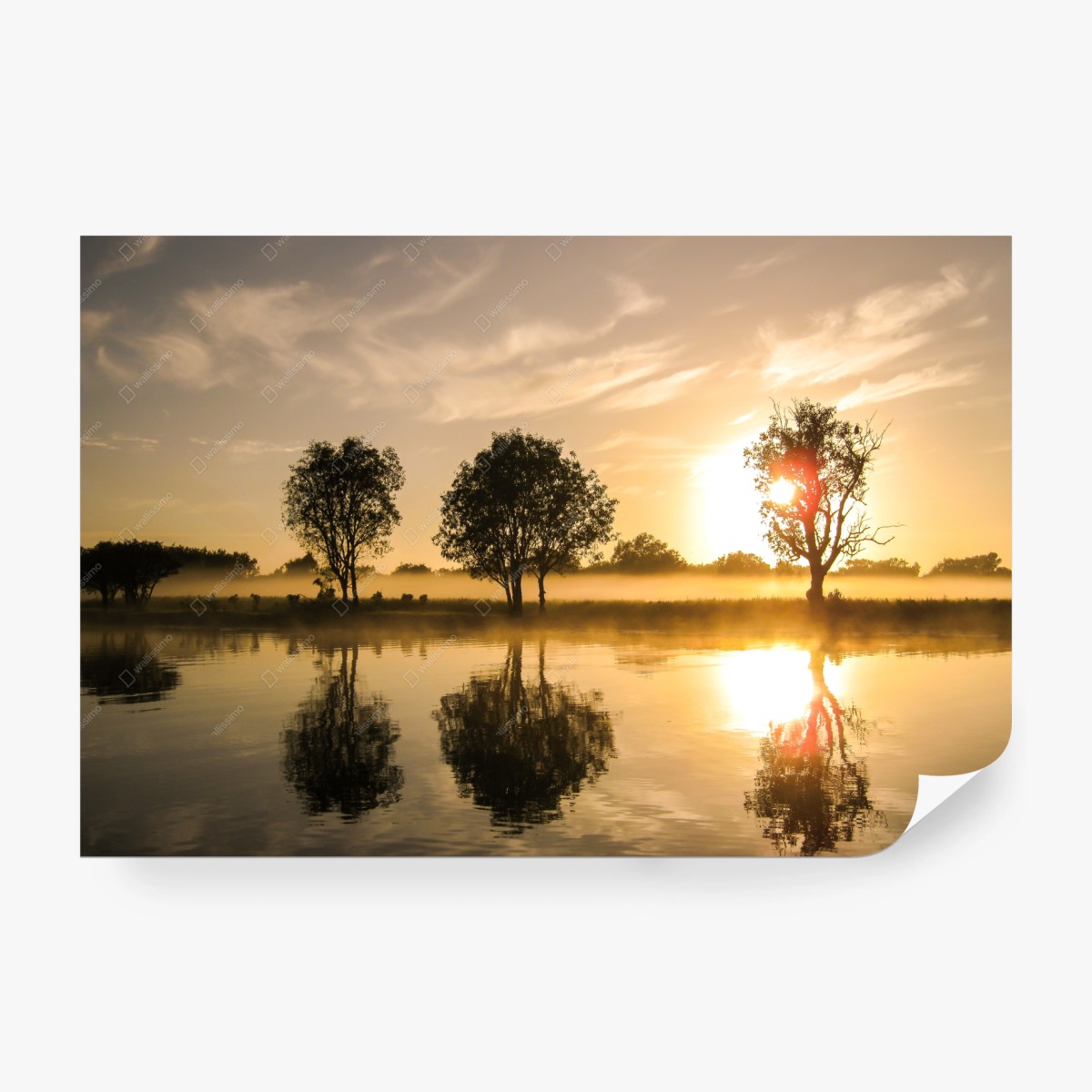 Carta da parati alba dorata sul lago • Wallissimo®