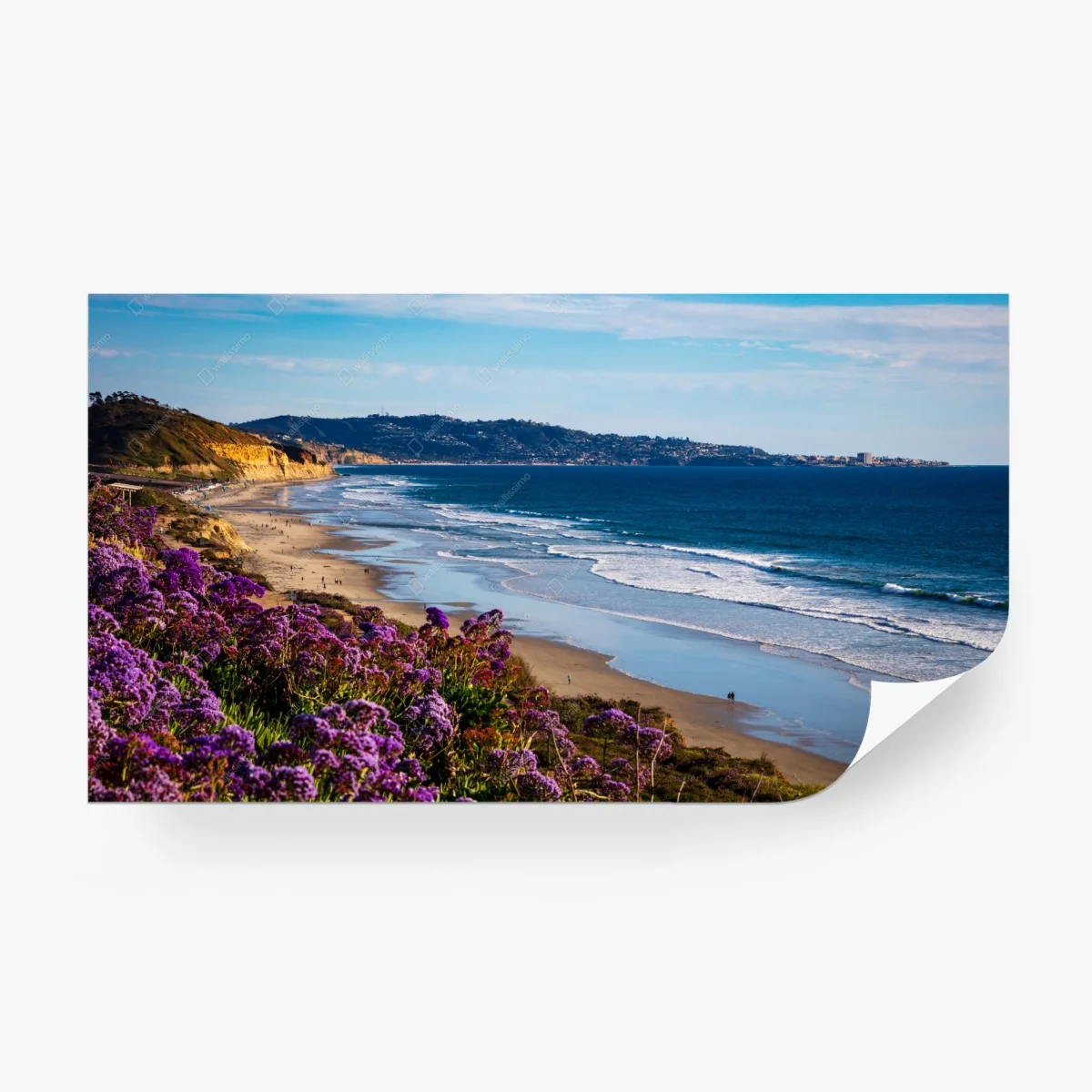 Carta da parati panorama costiero con fiori viola e scogliera • Wallissimo®