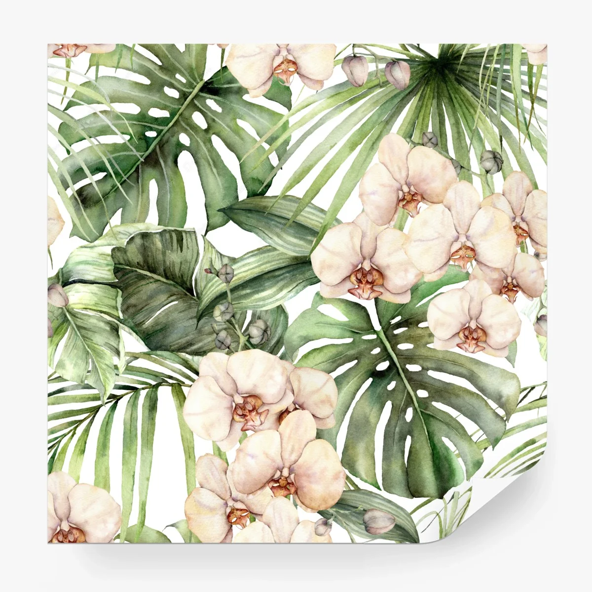 Carta da parati eleganza botanica: orchidee e foglie tropicali • Wallissimo®