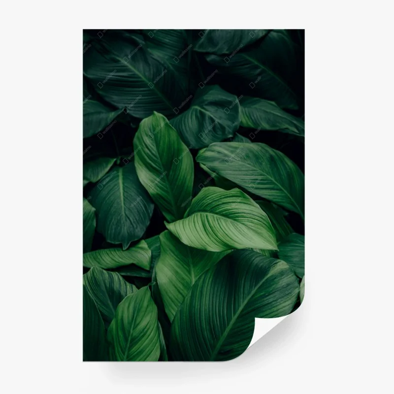 Carta da parati motivo di foglie tropicali verdi