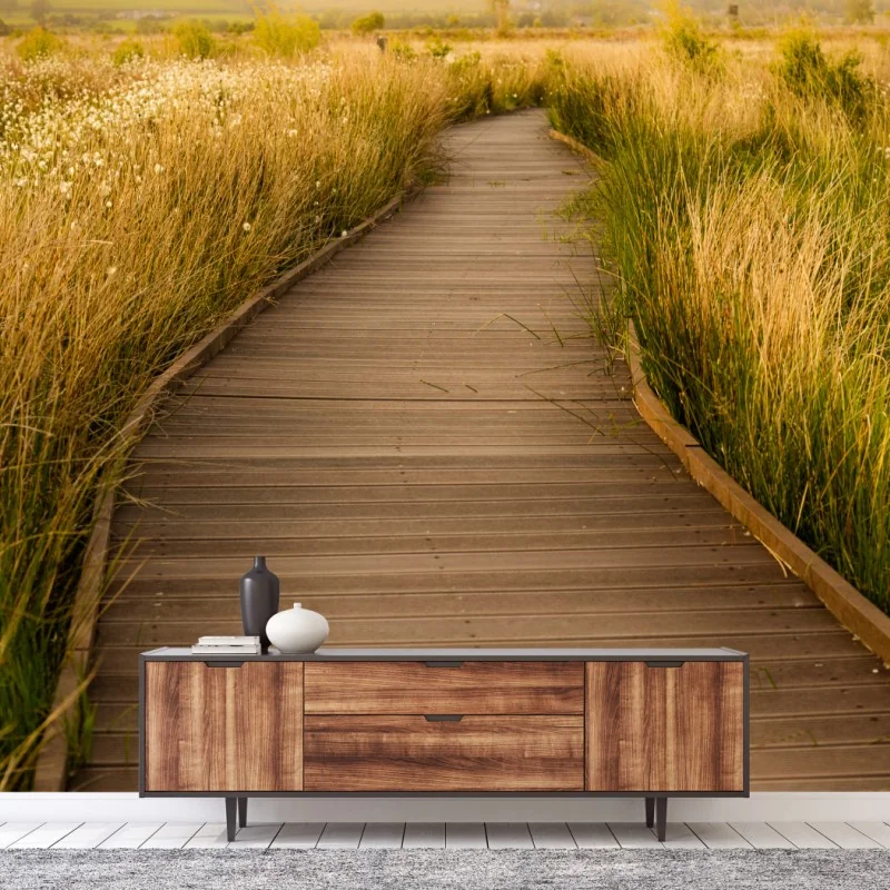 Carta da parati sentiero dorato nella prateria