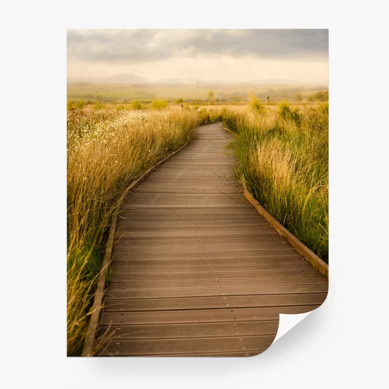 Carta da parati sentiero dorato nella prateria
