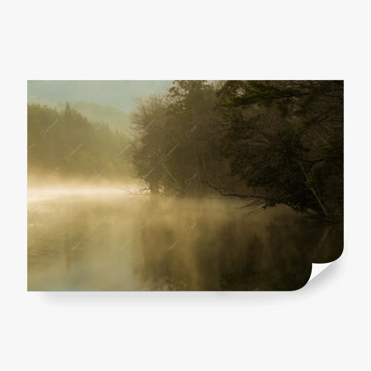 Carta da parati nebbia mattutina sul lago • Wallissimo® Carta da parati nebbia mattutina sul lago • Wallissimo®