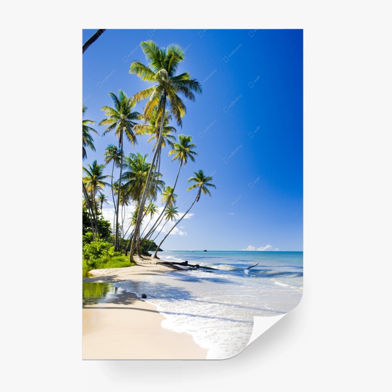 Carta da parati oasi tropicale sulla spiaggia