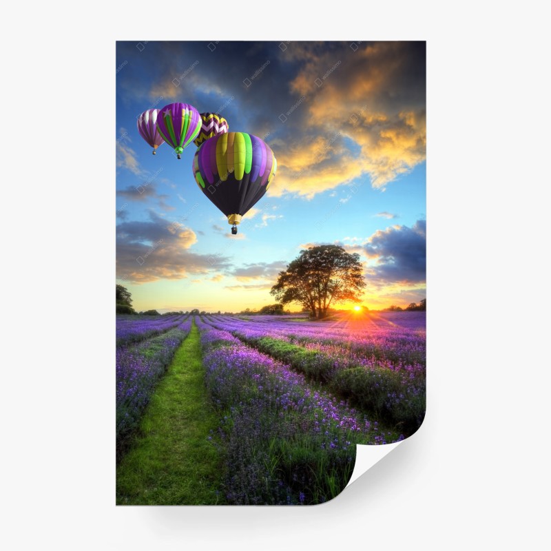 Carta da parati tramonto di lavanda e mongolfiere sulla campagna