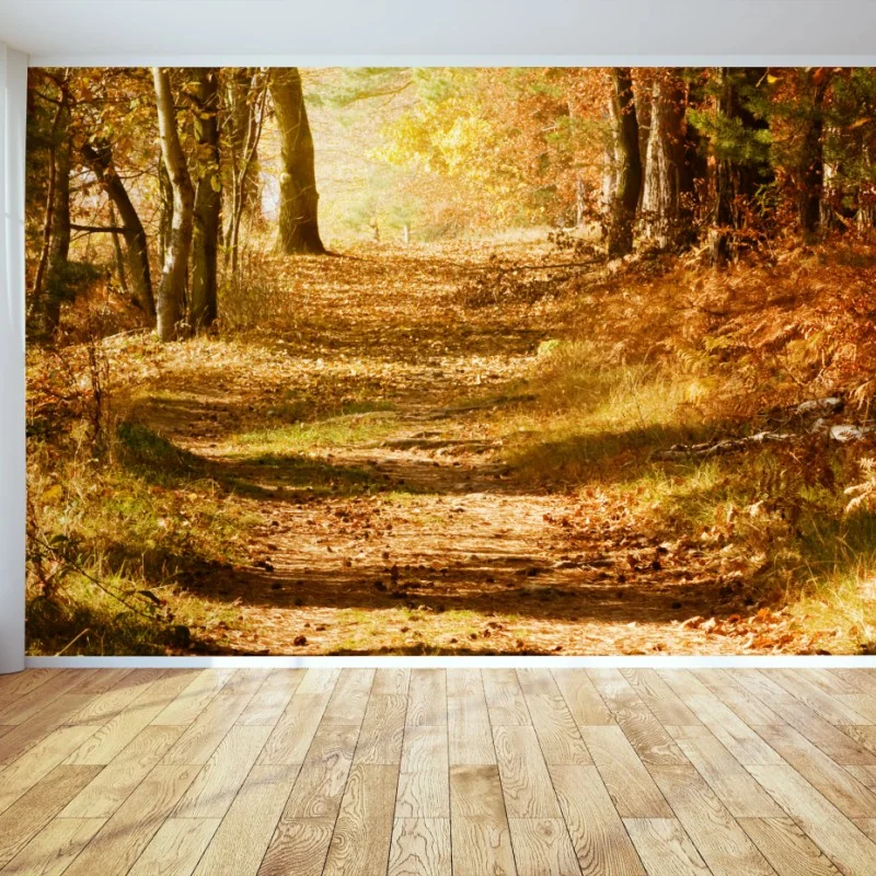 Carta da parati sentiero autunnale nel bosco dorato • Wallissimo® Carta da parati sentiero autunnale nel bosco dorato • Wallissimo®