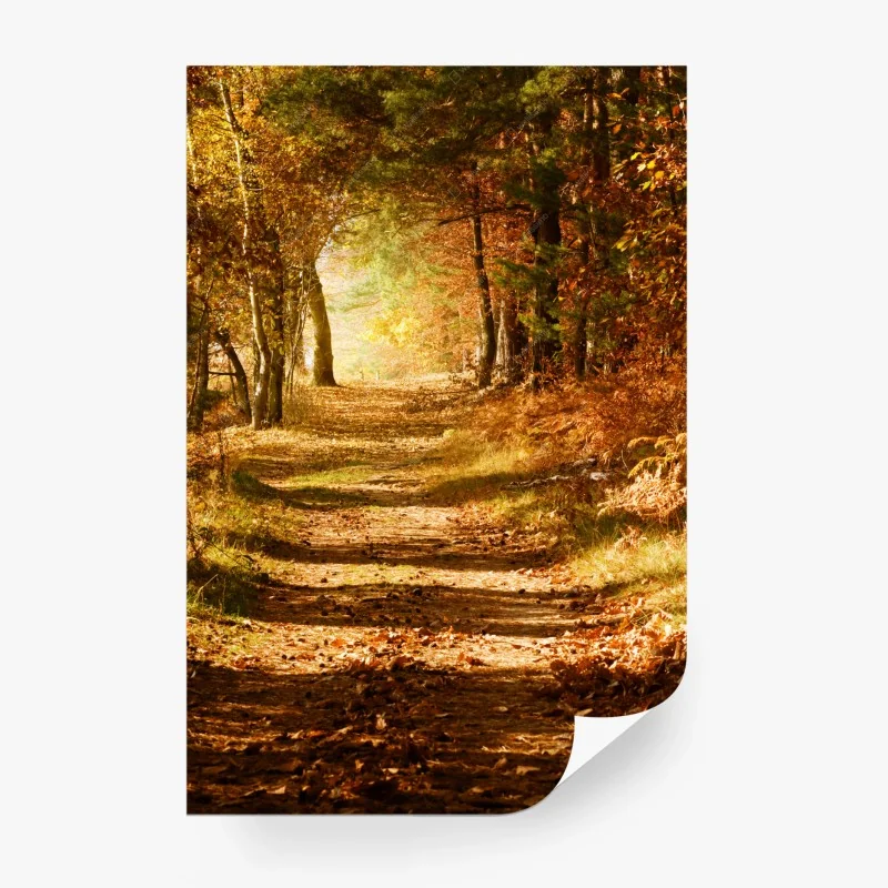 Carta da parati sentiero autunnale nel bosco dorato • Wallissimo® Carta da parati sentiero autunnale nel bosco dorato • Wallissimo®