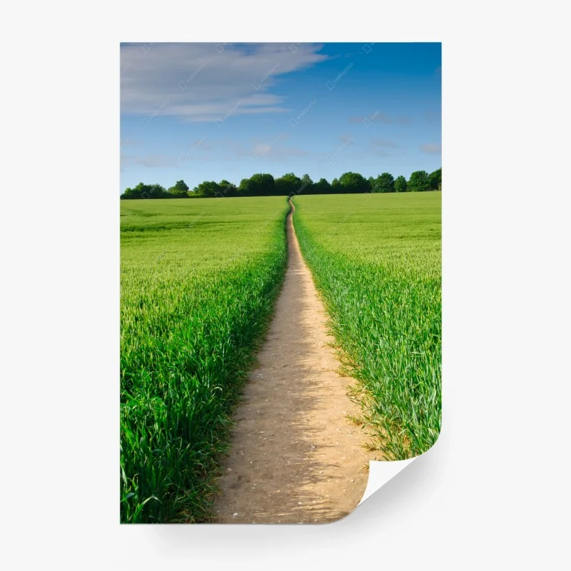 Carta da parati sentiero che conduce all'orizzonte nella campagna verde