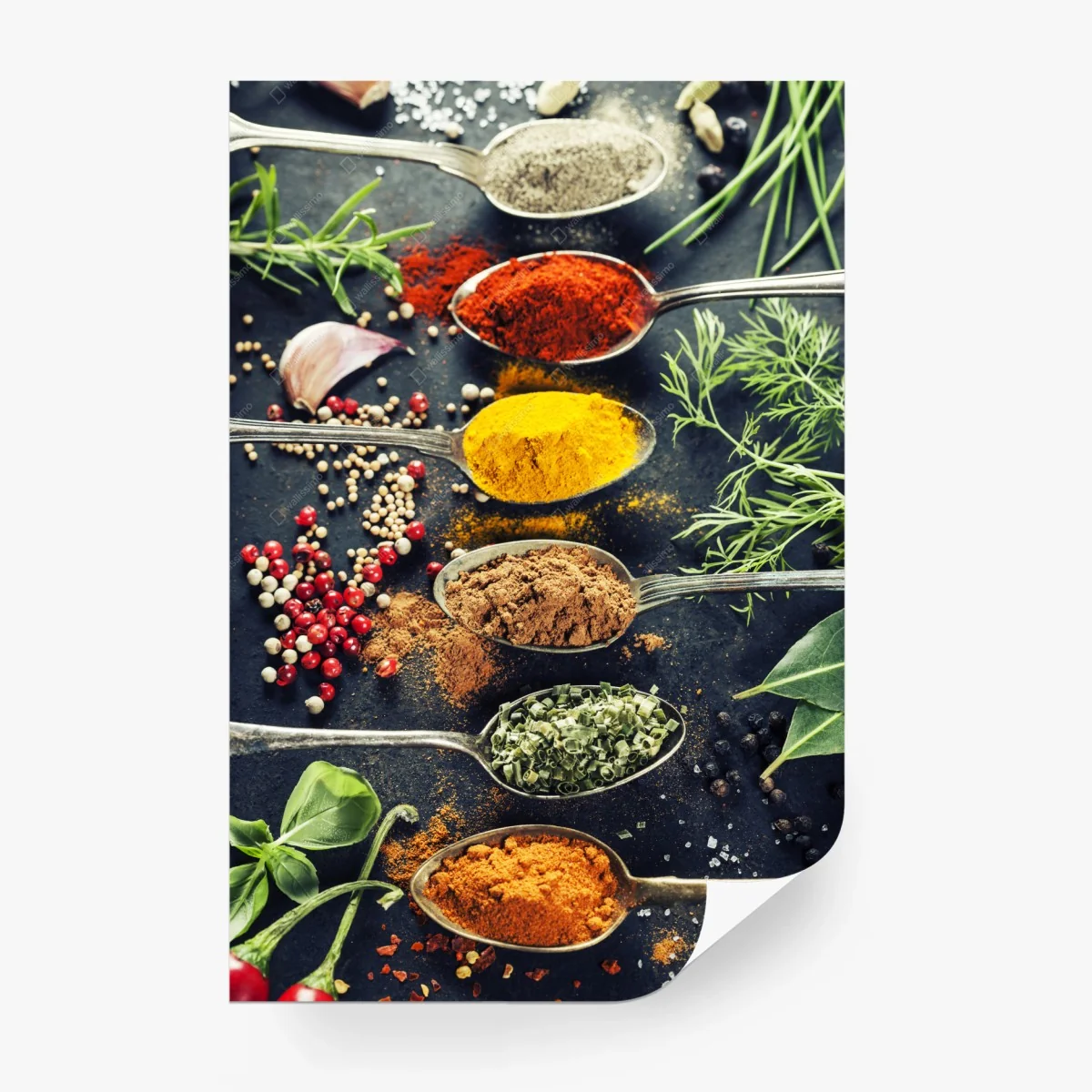 Carta da parati vibrante composizione di spezie e erbe aromatiche • Wallissimo®