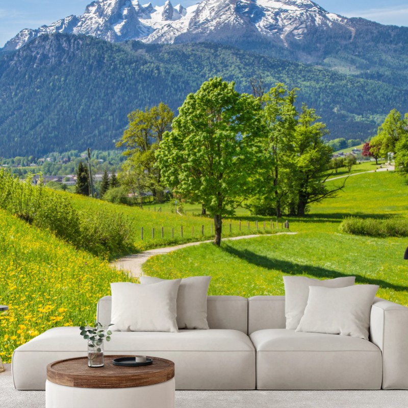 Carta da parati panorama alpino primaverile con sentiero fiorito