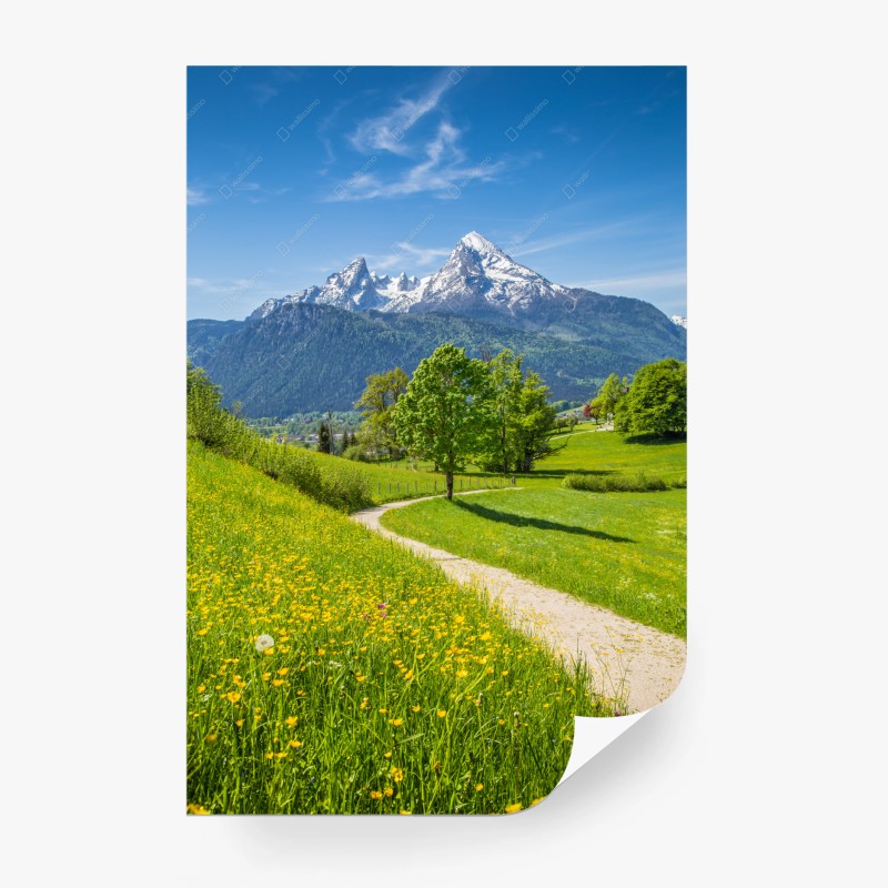 Carta da parati panorama alpino primaverile con sentiero fiorito