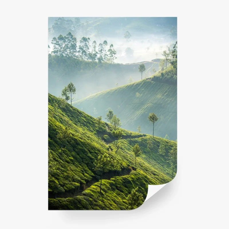 Carta da parati paesaggio verde delle piantagioni di tè a Munnar