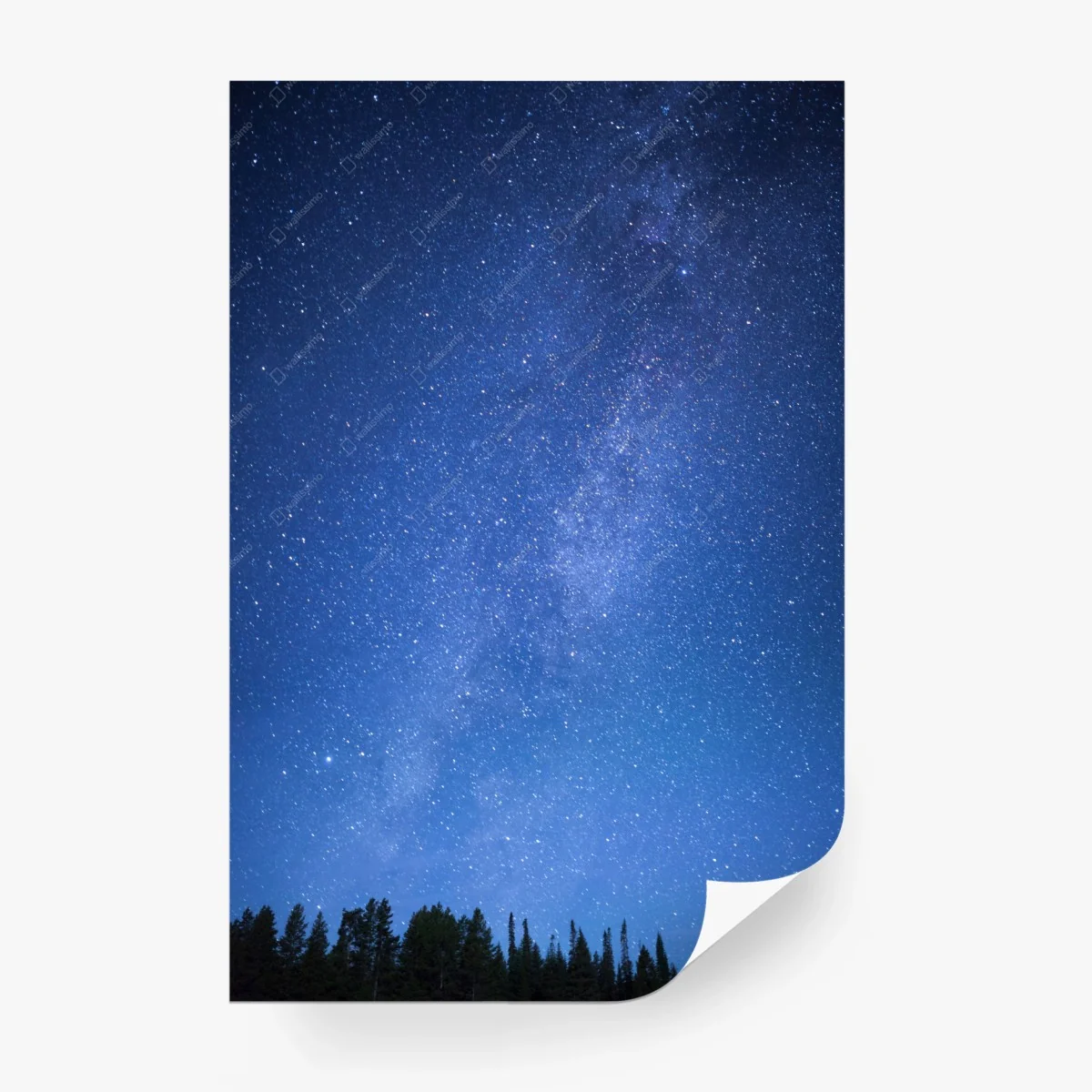 Carta da parati notte stellata sulla foresta • Wallissimo®