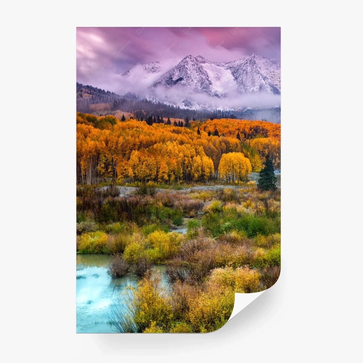 Carta da parati alba rosa su East Beckwith, Kebler Pass, Colorado • Wallissimo®