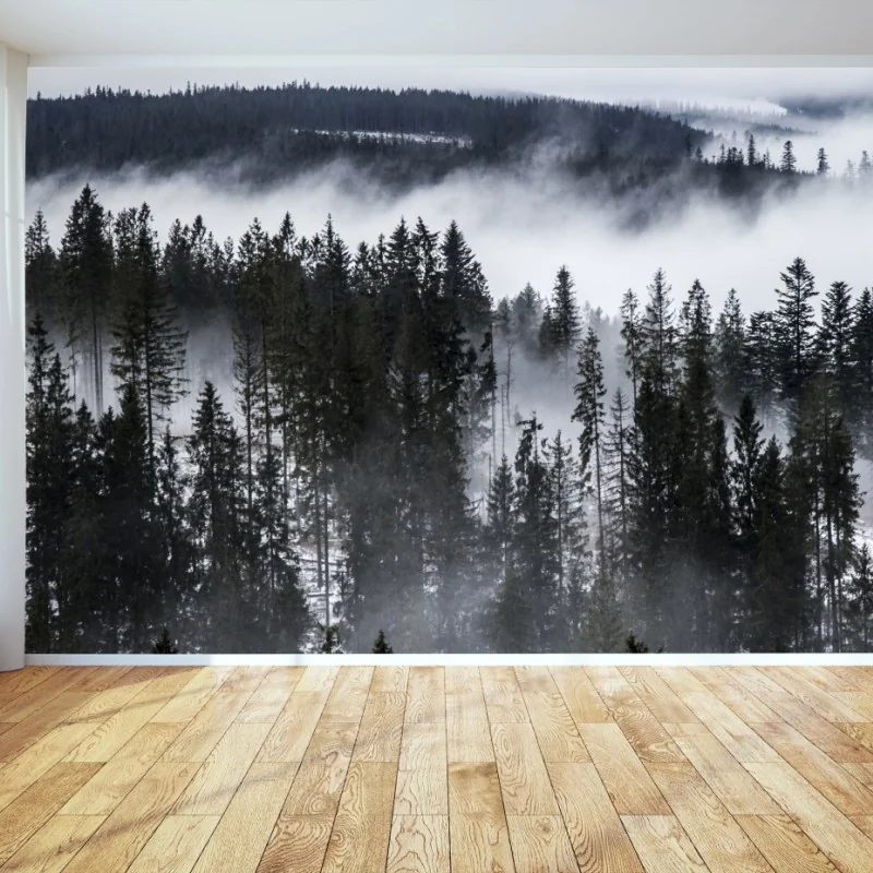 Carta da parati nebbia e foreste dei Tatra