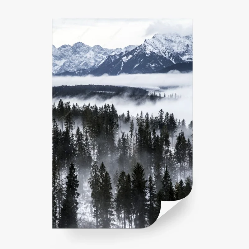 Carta da parati nebbia e foreste dei Tatra