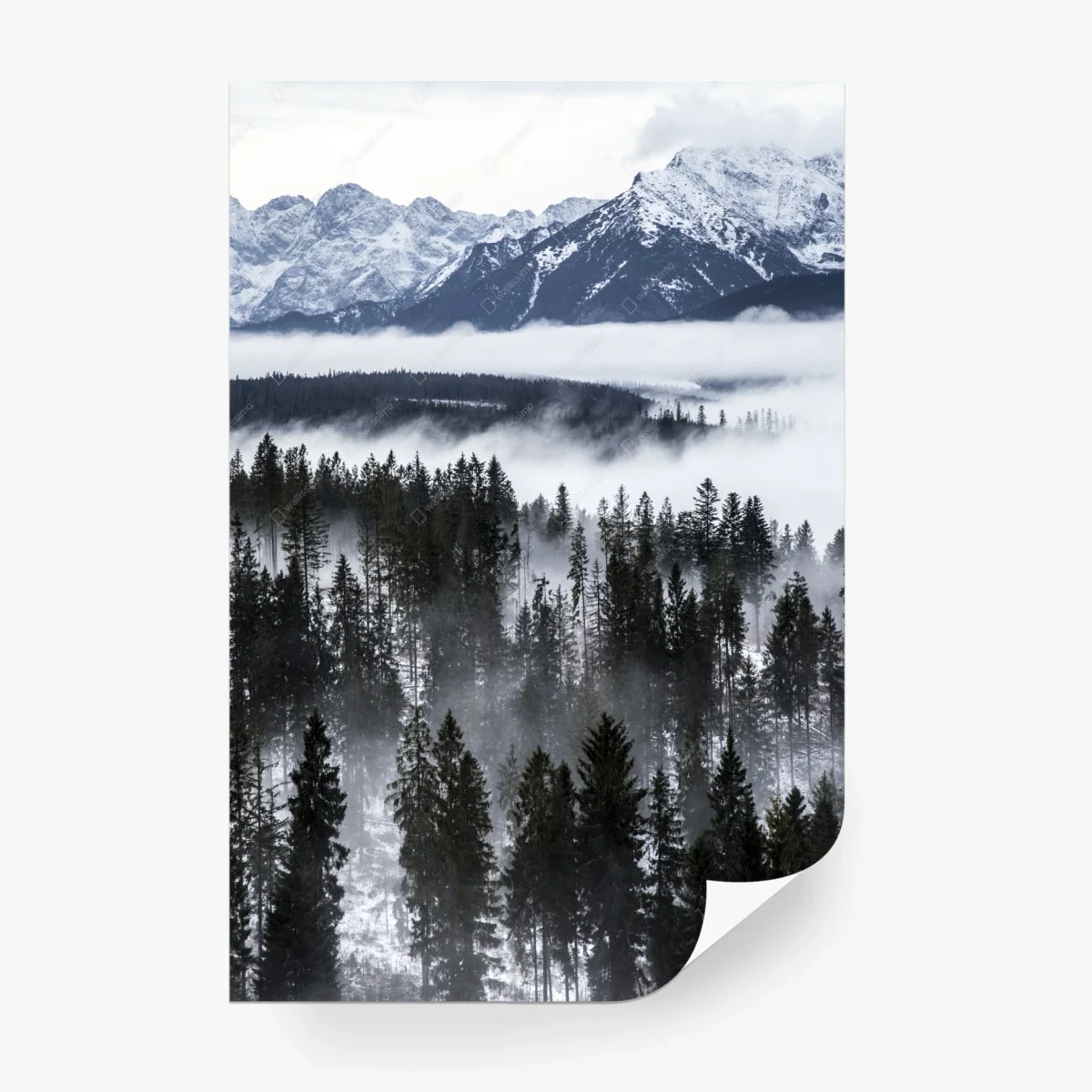 Carta da parati nebbia e foreste dei Tatra • Wallissimo®