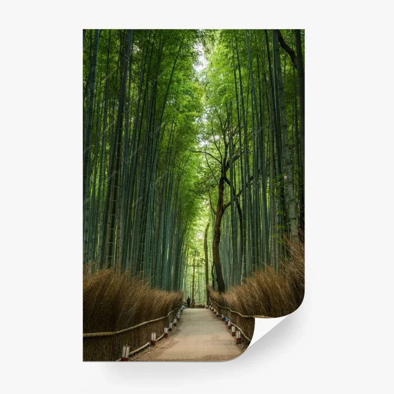 Carta da parati sentiero nella foresta di bambù