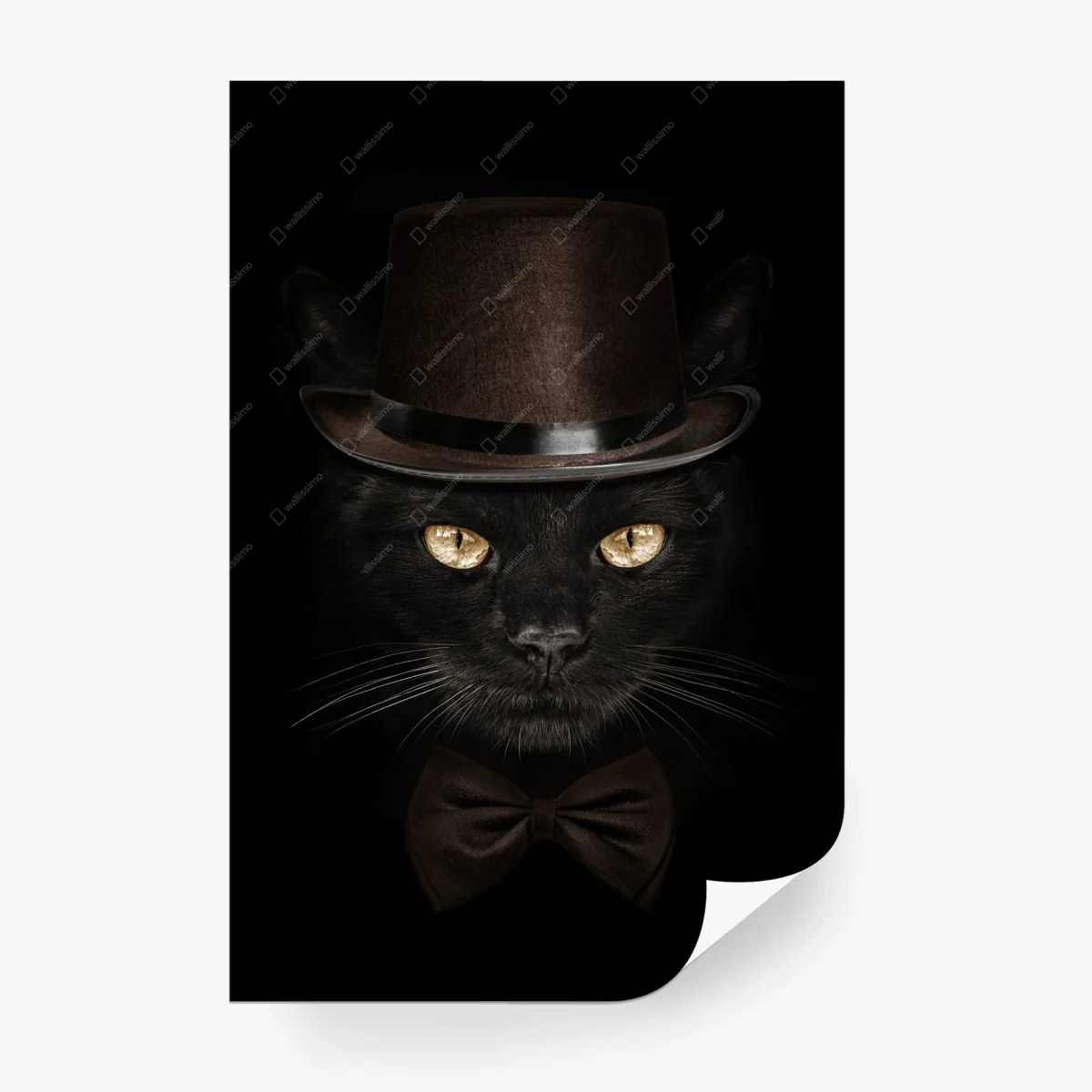 Carta da parati gatto elegante con cappello a cilindro e papillon • Wallissimo®