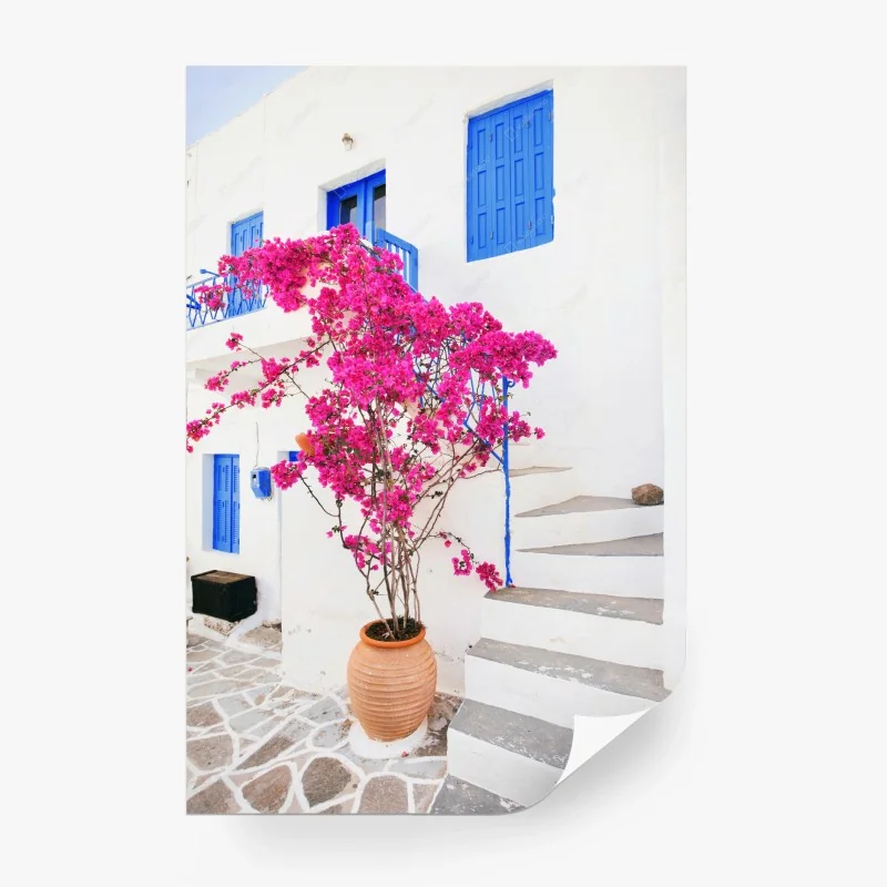 Carta da parati bouganvillea rosa su facciata bianca