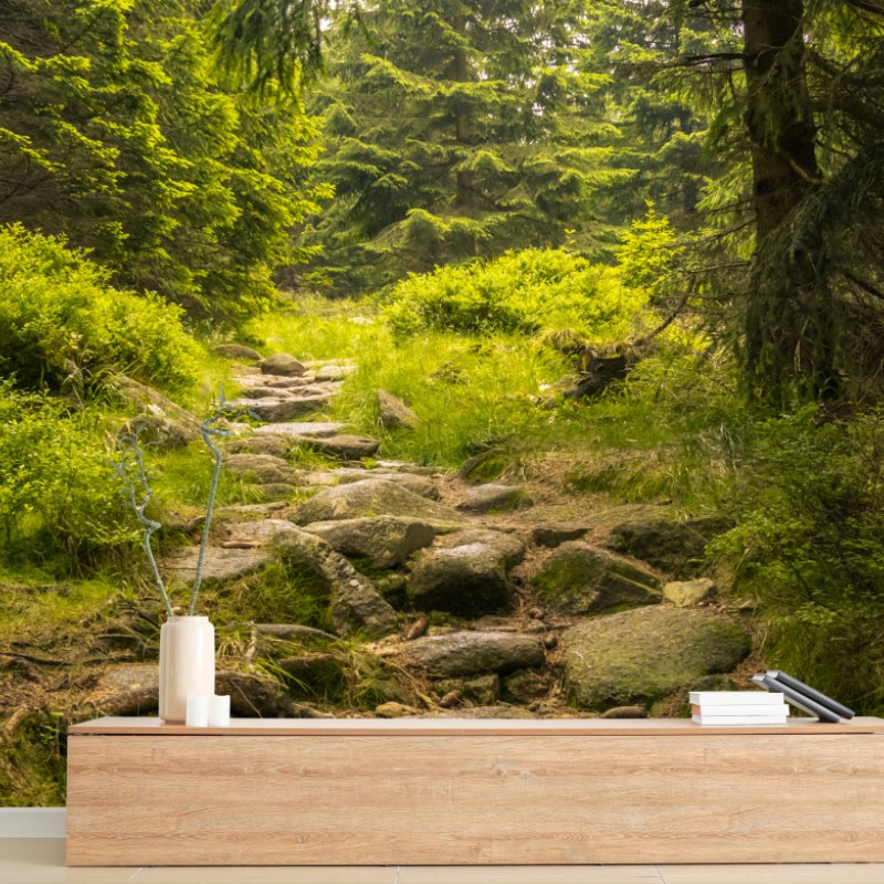 Carta da parati sentiero roccioso nel bosco