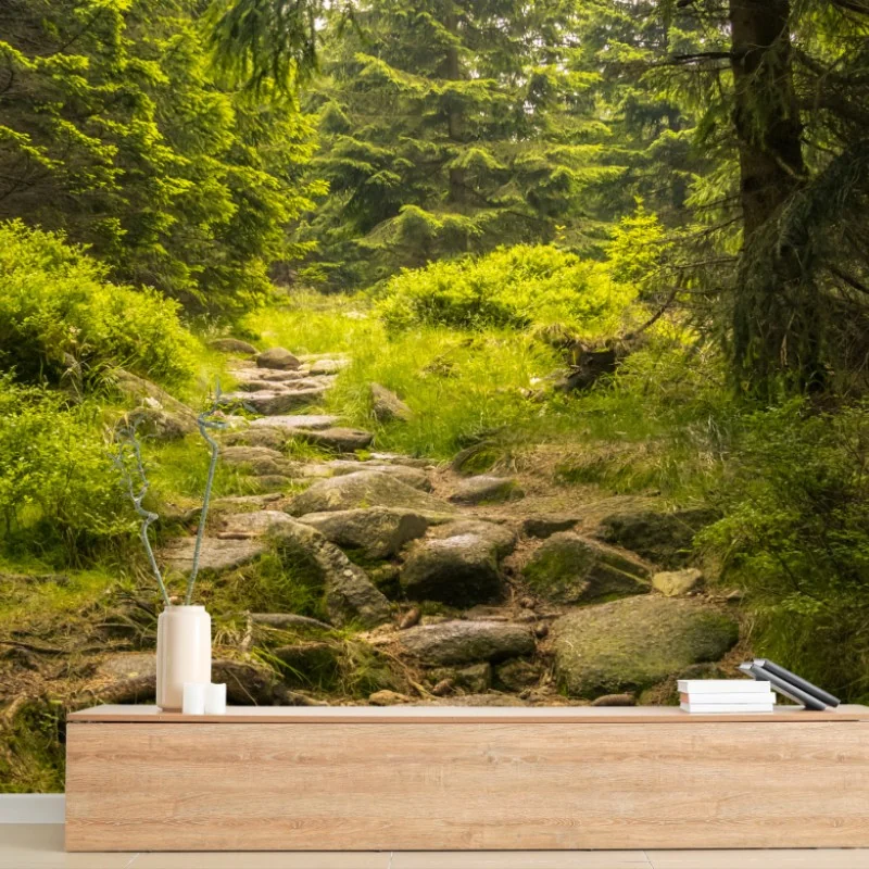 Carta da parati sentiero roccioso nel bosco