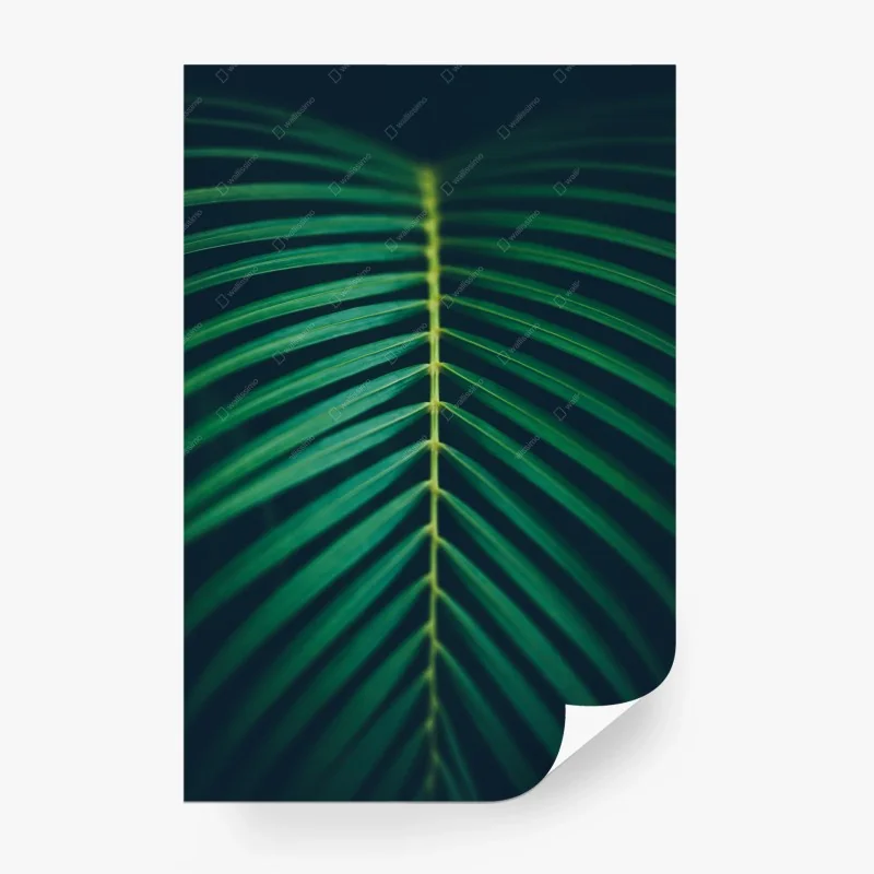 Carta da parati foglia di palma tropicale in dettaglio • Wallissimo®