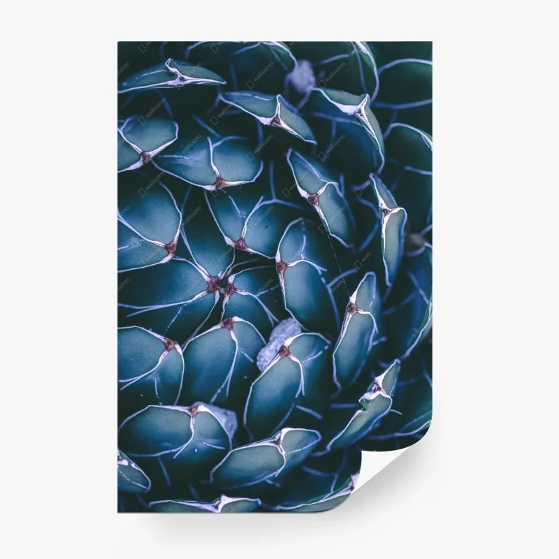 Carta da parati geometria botanica di agave