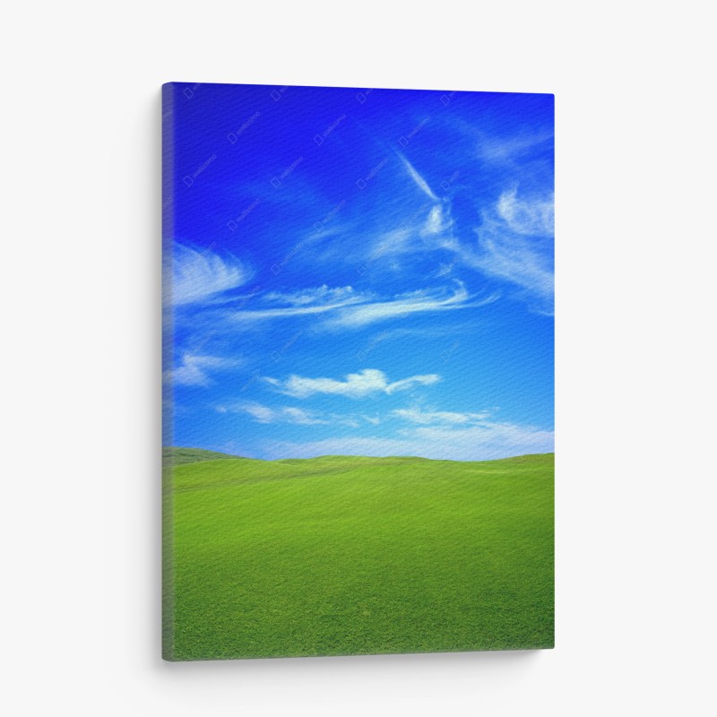 Quadro su tela prato verde sotto cielo blu