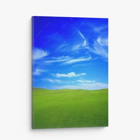 Quadro su tela prato verde sotto cielo blu • Wallissimo®