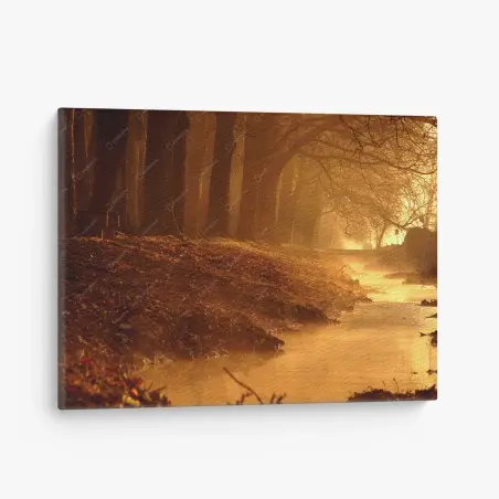 Quadro su tela sentiero dorato nella foresta • Wallissimo®
