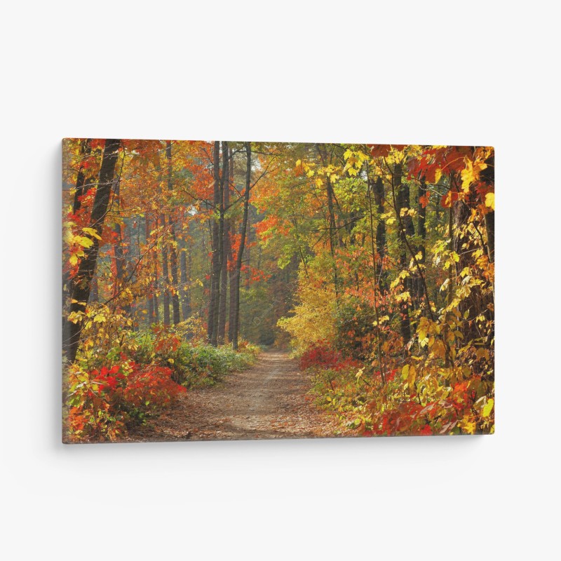Quadro su tela sentiero nel bosco d'autunno