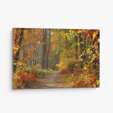 Quadro su tela sentiero nel bosco d'autunno • Wallissimo®