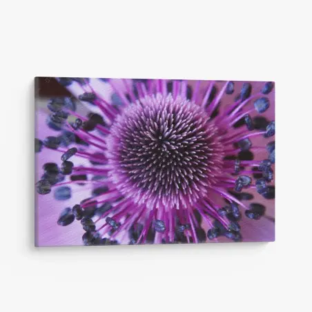 Quadro su tela dettaglio floreale viola: energia naturale in primo piano • Wallissimo®