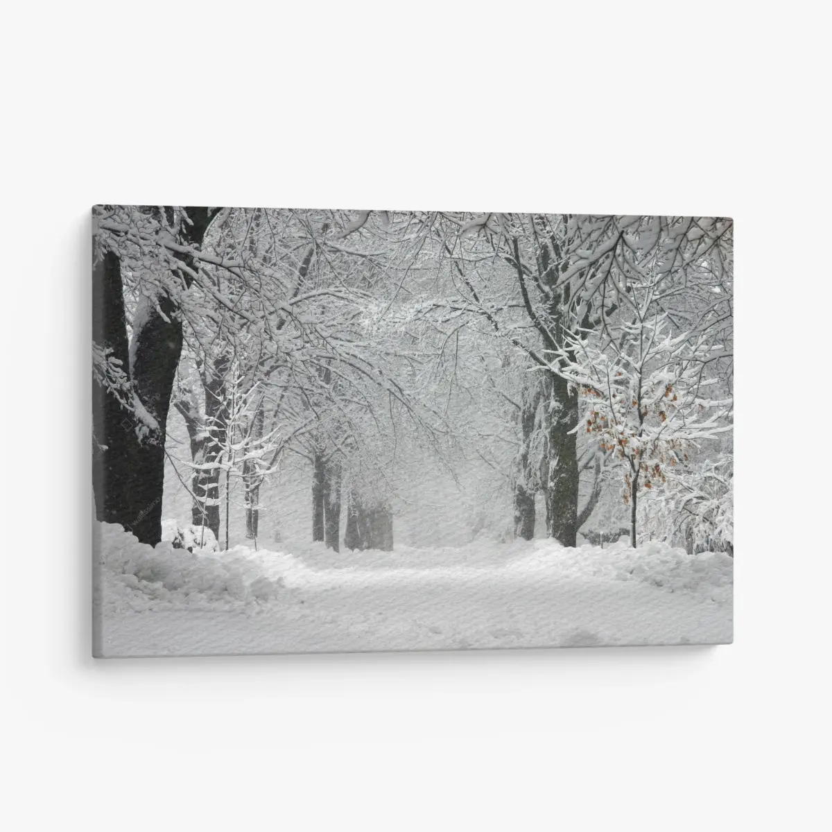 Quadro su tela viale innevato tra gli alberi • Wallissimo®