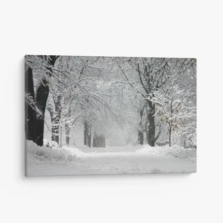 Quadro su tela viale innevato tra gli alberi • Wallissimo®