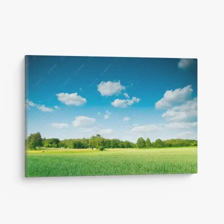 Quadro su tela paesaggio di campagna con cielo azzurro e nuvole • Wallissimo®