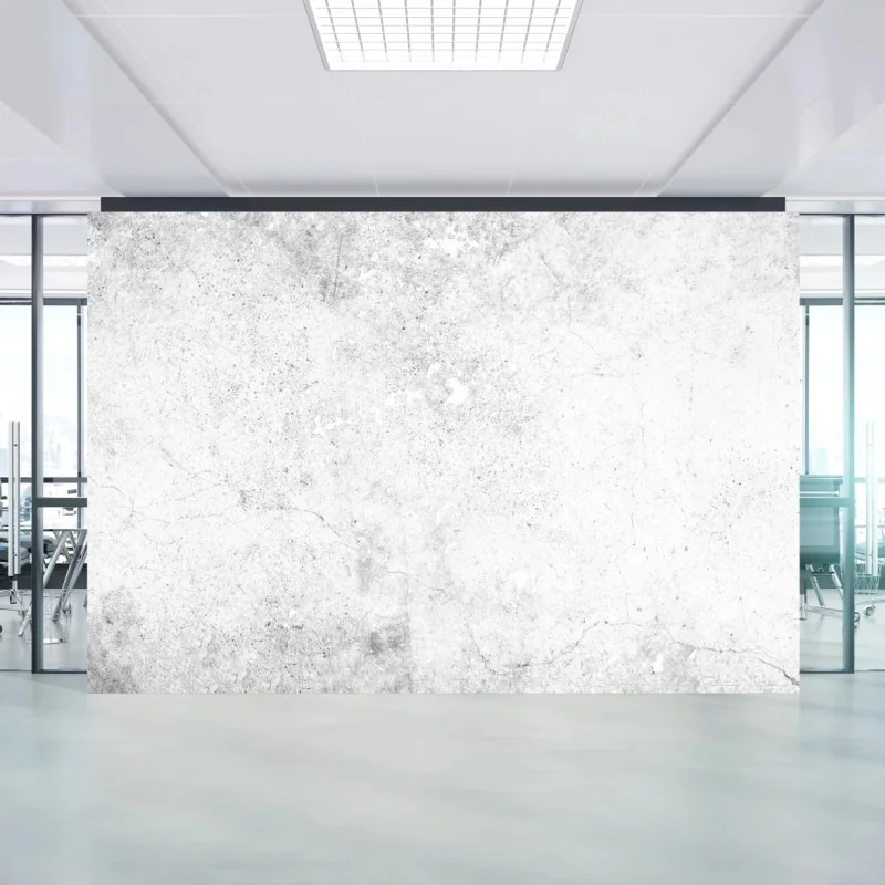 Carta da parati muro in cemento effetto grunge minimalista