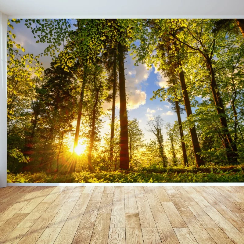 Carta da parati tramonto dorato nel bosco