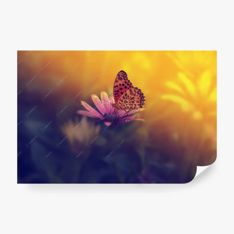 Carta da parati farfalla al tramonto su fiore rosa