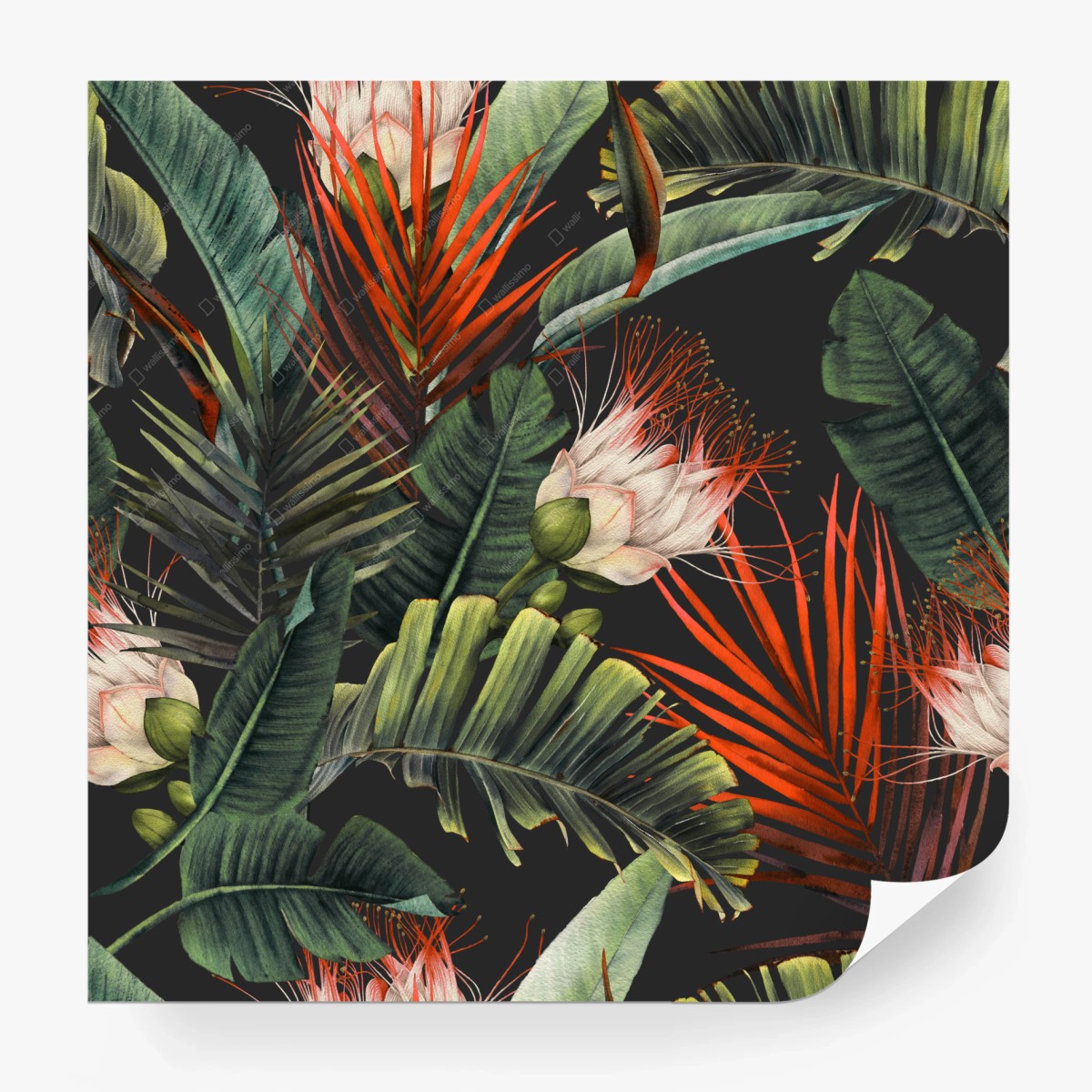 Carta da parati motivo tropicale di foglie e fiori ad acquerello su sfondo scuro • Wallissimo® Carta da parati motivo tropicale di foglie e fiori ad acquerello su sfondo scuro • Wallissimo®