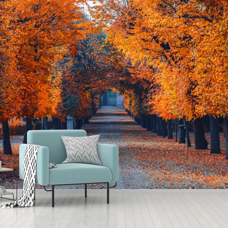 Carta da parati viale autunnale dorato