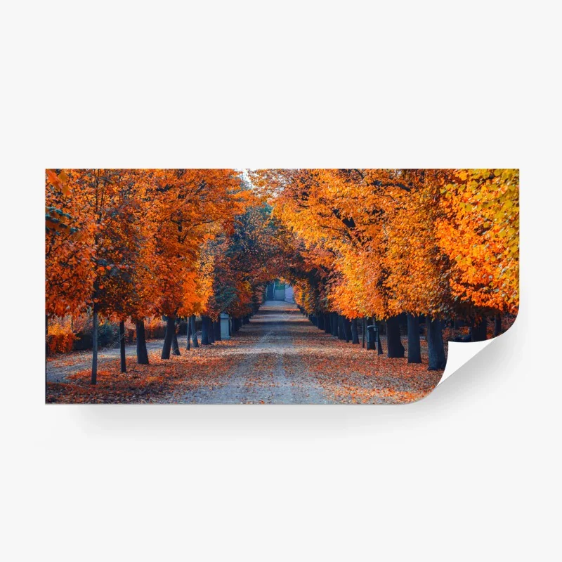Carta da parati viale autunnale dorato