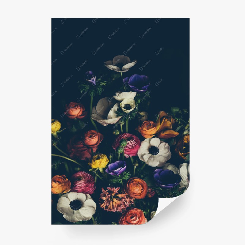 Carta da parati bouquet di anemoni e ranuncoli su sfondo scuro