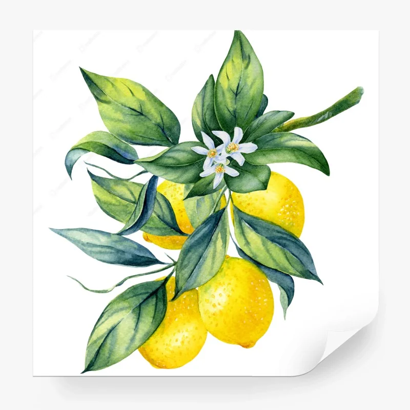 Carta da parati ramo di limoni in acquerello