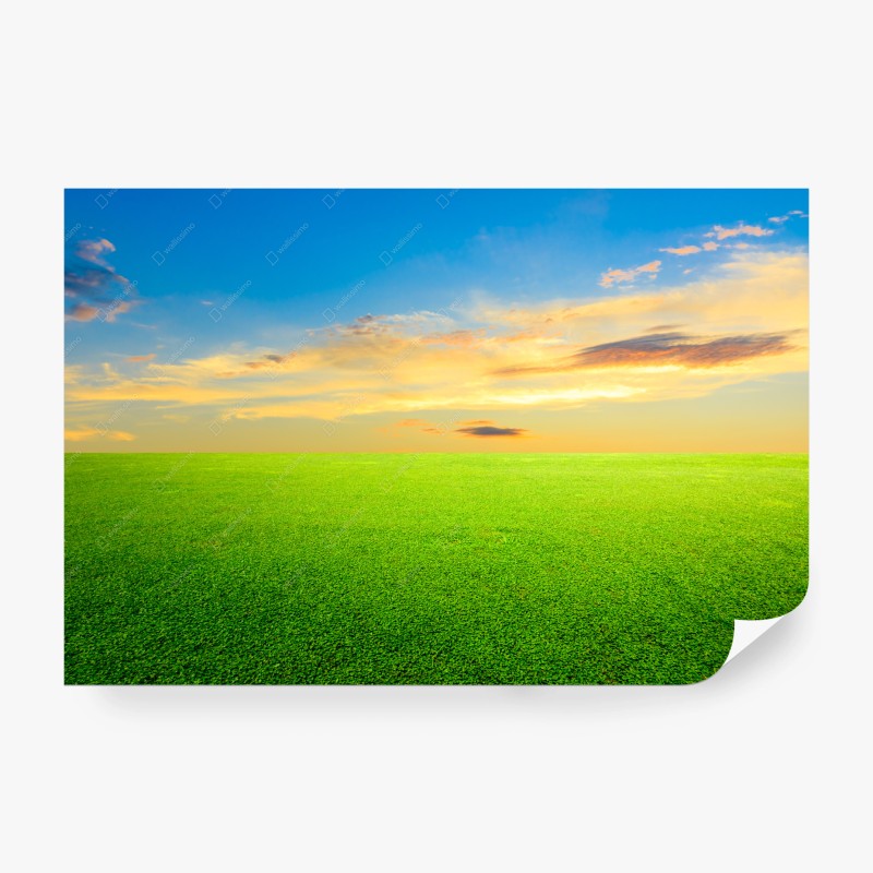 Carta da parati tramonto sul prato verde