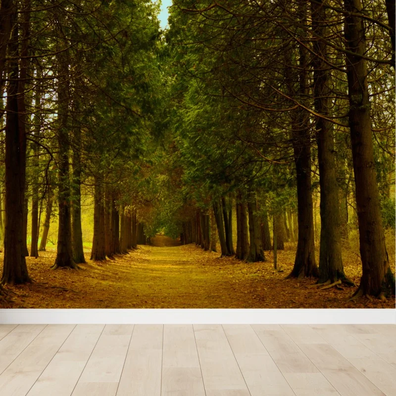 Carta da parati viale dorato nel bosco