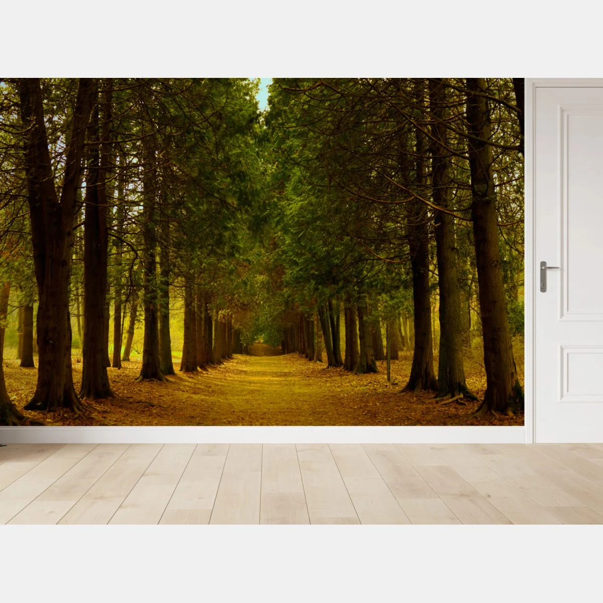 Carta da parati viale dorato nel bosco • Wallissimo® Carta da parati viale dorato nel bosco • Wallissimo®