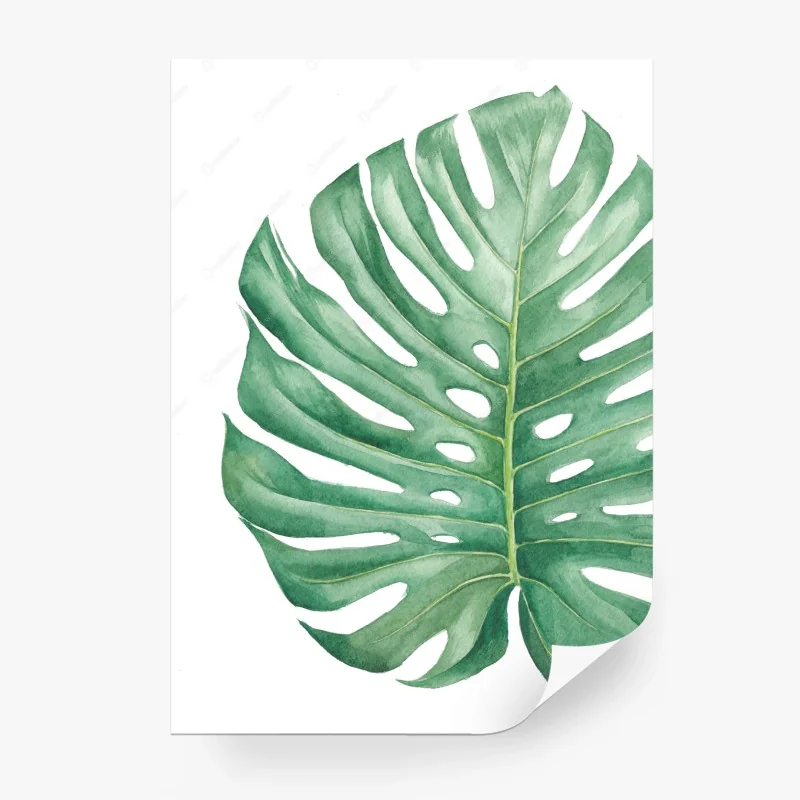 Carta da parati foglia di monstera acquerellata su sfondo bianco