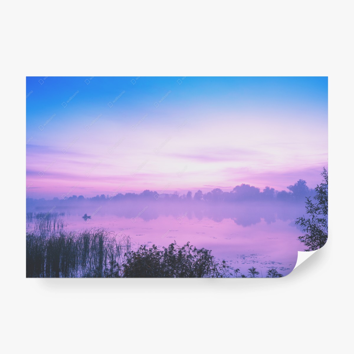 Carta da parati alba magica sul lago nebbioso • Wallissimo®